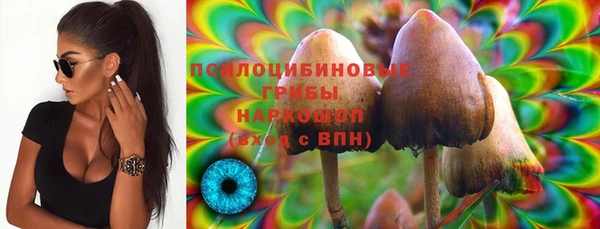 PSILOCYBIN Володарск