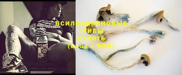 PSILOCYBIN Волоколамск