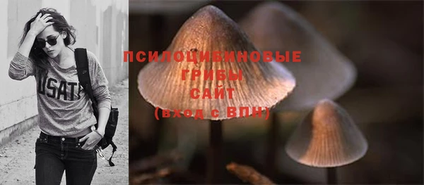 PSILOCYBIN Володарск