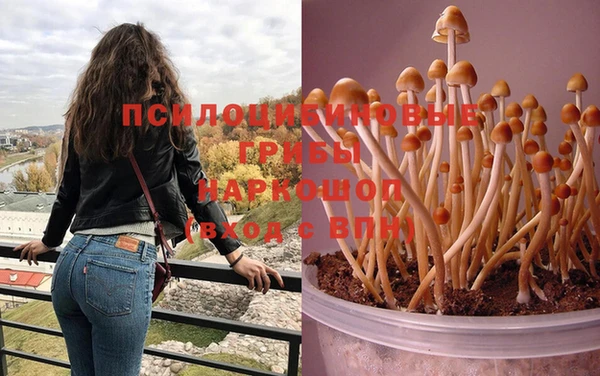 PSILOCYBIN Володарск
