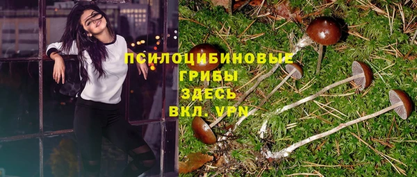 PSILOCYBIN Володарск