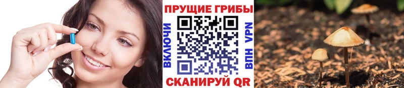 мега как зайти  где продают наркотики  Первоуральск  Псилоцибиновые грибы Magic Shrooms 